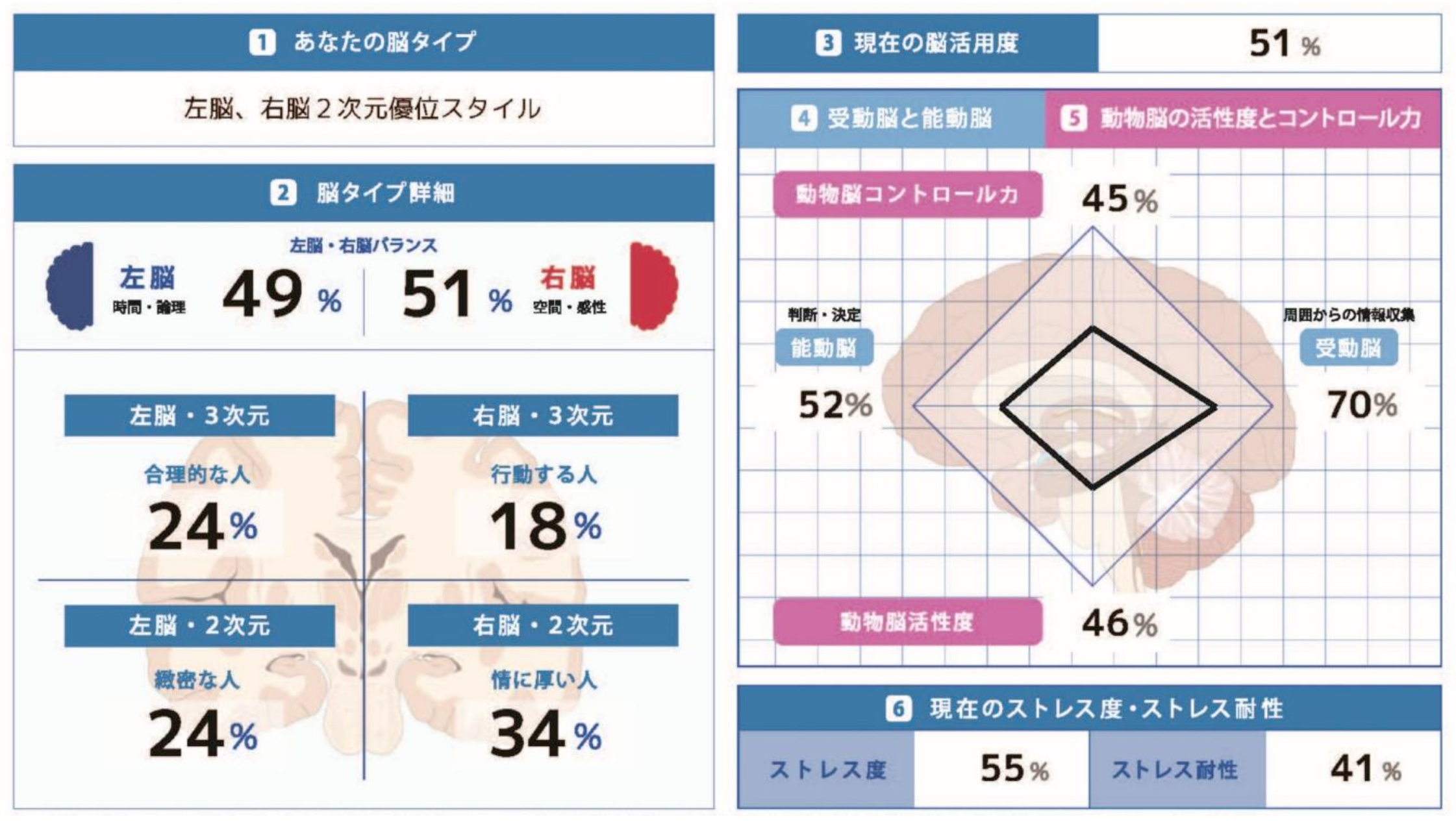 S-Brain（篠浦脳活用度診断）の結果図サンプル